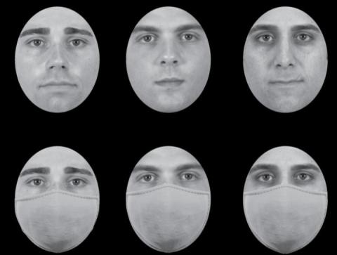 Chicago Face Database (Ma et al., 2015)