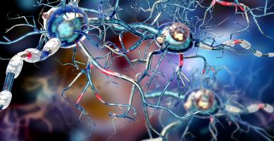 Ce médicament, à petites molécules, vise la neuroprotection des cellules (Visuel Adobe Stock 123383166) Ce médicament, à petites molécules, vise la neuroprotection des cellules (Visuel Adobe Stock 123383166)