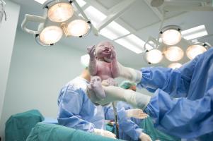 Un système de signalisation dans le tronc cérébral qui s'active presque immédiatement à la naissance soutient la respiration précoce (Visuel Adobe Stock 171775365) Un système de signalisation dans le tronc cérébral qui s'active presque immédiatement à la naissance soutient la respiration précoce (Visuel Adobe Stock 171775365)