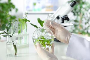 C'est un état des lieux complet et intelligible de la synthèse dite verte (synthèse biologique ou biosynthèse) des nanoparticules (Visuel Adobe Stock 253585637) C'est un état des lieux complet et intelligible de la synthèse dite verte (synthèse biologique ou biosynthèse) des nanoparticules (Visuel Adobe Stock 253585637)