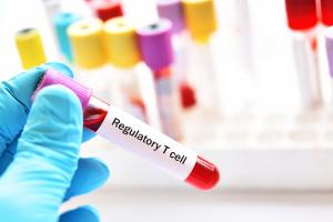 2 groupes bien distincts de cellules T : les cellules qui favorisent la production d'anticorps pour se défendre contre les infections virales et les cellules associées à la production d'anticorps impliqués dans la défense contre les parasites et les allergies (Visuel Adobe Stock 290536684) 2 groupes bien distincts de cellules T : les cellules qui favorisent la production d'anticorps pour se défendre contre les infections virales et les cellules associées à la production d'anticorps impliqués dans la défense contre les parasites et les allergies (Visuel Adobe Stock 290536684)