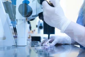 Ces scientifiques se concentrent sur les effets de l'exercice au niveau cellulaire et identifient, avec une activité physique prolongée, de profondes modifications de l’ARN, des protéines et des métabolites dans presque tous les tissus (Visuel Adobe Stock 416300006) Ces scientifiques se concentrent sur les effets de l'exercice au niveau cellulaire et identifient, avec une activité physique prolongée, de profondes modifications de l’ARN, des protéines et des métabolites dans presque tous les tissus (Visuel Adobe Stock 416300006)