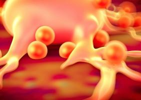 Des centaines de changements cellulaires qui se produisent en réponse à une alimentation riche en graisses (Adobe Stock 88469791) Des centaines de changements cellulaires qui se produisent en réponse à une alimentation riche en graisses (Adobe Stock 88469791)