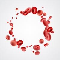 Des niveaux plus élevés de potassium ont un impact négatif sur le rythme circadien de la cellule Des niveaux plus élevés de potassium ont un impact négatif sur le rythme circadien de la cellule