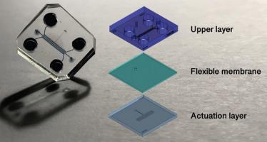 Une puce sophistiquée de la taille d'une pièce de monnaie, dans laquelle le cartilage peut être cultivé puis soumis à des contraintes mécaniques de manière à générer les effets de l’arthrose Une puce sophistiquée de la taille d'une pièce de monnaie, dans laquelle le cartilage peut être cultivé puis soumis à des contraintes mécaniques de manière à générer les effets de l’arthrose