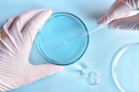 L'étude décrit la très mince frontière entre la vie et la mort cellulaire, qui dépend de processus chimiques, d’enzymes et de thermodynamique.(Visuel Adobe Stock 102989688)