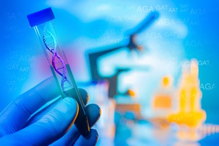 Ces travaux identifient 37 gènes clés liés à des traits reproductifs dont certains liés à la longévité (Visuel Adobe Stock 432955351)