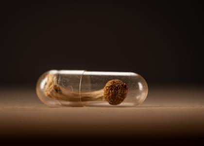 La psilocybine fait son entrée en gastroentérologie avec cette toute première étude sur les psychédéliques pour le traitement du syndrome du côlon irritable résistant aux traitements (Visuel Adobe Stock 495815091)