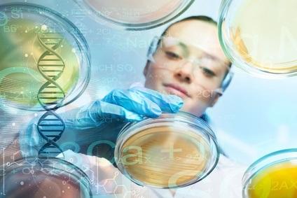 Oui, ça marche » chez la souris, alors les cellules souches pourraient-elles aussi fonctionner dans la lutte contre l'obésité chez les humains ? 