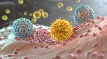 Un composé thérapeutique candidat, capable d’étouffer l’action délétère des mastocytes (Visuel Adobe Stock 1010343810)