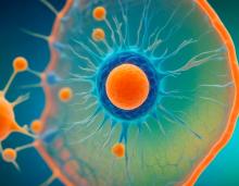 Ces travaux révèlent en particulier comment une protéine spécifique contribue à transporter les graisses hors des compartiments cellulaires ou lysosomes (Visuel Adobe Stock 1167754566) Ces travaux révèlent en particulier comment une protéine spécifique contribue à transporter les graisses hors des compartiments cellulaires ou lysosomes (Visuel Adobe Stock 1167754566)