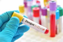 Cet essai clinique, mené par les scientifiques du National Institute of Allergy and Infectious Diseases (NAID/NIH) évaluera un traitement expérimental contre la dengue, un anticorps monoclonal humain expérimental censé atténuer les symptômes cliniques (Visuel Adobe Stock 175978895) Cet essai clinique, mené par les scientifiques du National Institute of Allergy and Infectious Diseases (NAID/NIH) évaluera un traitement expérimental contre la dengue, un anticorps monoclonal humain expérimental censé atténuer les symptômes cliniques (Visuel Adobe Stock 175978895)