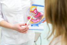 C'est une nouvelle option thérapeutique minimalement invasive, déjà documentée comme efficace contre l’incontinence urinaire d'urgence ou urgenturie (Visuel Adobe Stock 312943384) C'est une nouvelle option thérapeutique minimalement invasive, déjà documentée comme efficace contre l’incontinence urinaire d'urgence ou urgenturie (Visuel Adobe Stock 312943384)