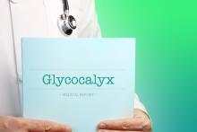 Le glycocalyx, ou les chaînes de sucre complexes qui recouvrent toutes nos cellules comme une cotte de mailles est, pour la première fois, analysé à l’échelle moléculaire (Visuel Adobe Stock 353418420) Le glycocalyx, ou les chaînes de sucre complexes qui recouvrent toutes nos cellules comme une cotte de mailles est, pour la première fois, analysé à l’échelle moléculaire (Visuel Adobe Stock 353418420)