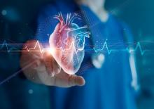 L'étude décrypte comment les neutrophiles « perforent » les cellules cardiaques et favorisent ainsi l'arythmie après une crise cardiaque (Visuel Adobe Stock 512237900) L'étude décrypte comment les neutrophiles « perforent » les cellules cardiaques et favorisent ainsi l'arythmie après une crise cardiaque (Visuel Adobe Stock 512237900)