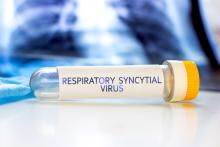 Des chercheurs du Brigham and Boston Children’s Hospital viennent d’identifier des marqueurs d’infection plus grave au VRS (Visuel Adobe Stock 558408797) Des chercheurs du Brigham and Boston Children’s Hospital viennent d’identifier des marqueurs d’infection plus grave au VRS (Visuel Adobe Stock 558408797)