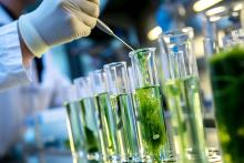 C’est une nouvelle percée dans le domaine des hydrogels à base de lignine pour la cicatrisation des plaies et la libération contrôlée de médicaments (Visuel Adobe Stock 753744184 C’est une nouvelle percée dans le domaine des hydrogels à base de lignine pour la cicatrisation des plaies et la libération contrôlée de médicaments (Visuel Adobe Stock 753744184)