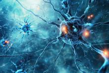 La maladie de Parkinson est 2 fois plus fréquente chez les patients de sexe masculin, pourquoi ? (Visuel Adobe Stock 774059195) La maladie de Parkinson est 2 fois plus fréquente chez les patients de sexe masculin, pourquoi ? (Visuel Adobe Stock 774059195)