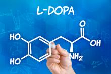 L'étude décrypte le rôle de la dopamine dans la promotion de la néprilysine, une enzyme capable de décomposer les plaques nocives caractéristiques de la maladie d’Alzheimer (Visuel Adobe Stock 83227395) L'étude décrypte le rôle de la dopamine dans la promotion de la néprilysine, une enzyme capable de décomposer les plaques nocives caractéristiques de la maladie d’Alzheimer (Visuel Adobe Stock 83227395).