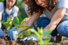 Ces chercheurs travaillent sur le concept de « luxury effect » qui sous-entend que les zones les plus riches ont tendance à avoir une biodiversité plus élevée, et une meilleure santé (Visuel Adobe Stock 933038479) Ces chercheurs travaillent sur le concept de « luxury effect » qui sous-entend que les zones les plus riches ont tendance à avoir une biodiversité plus élevée, et une meilleure santé (Visuel Adobe Stock 933038479)
