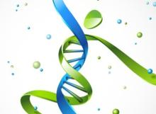 L'étude met en lumière  les disparités en matière de probabilité de décès prématuré, qui reflètent, notamment, d'importantes inégalités d'accès aux soins et technologies de santé (Visuel Fotolia 52681939)